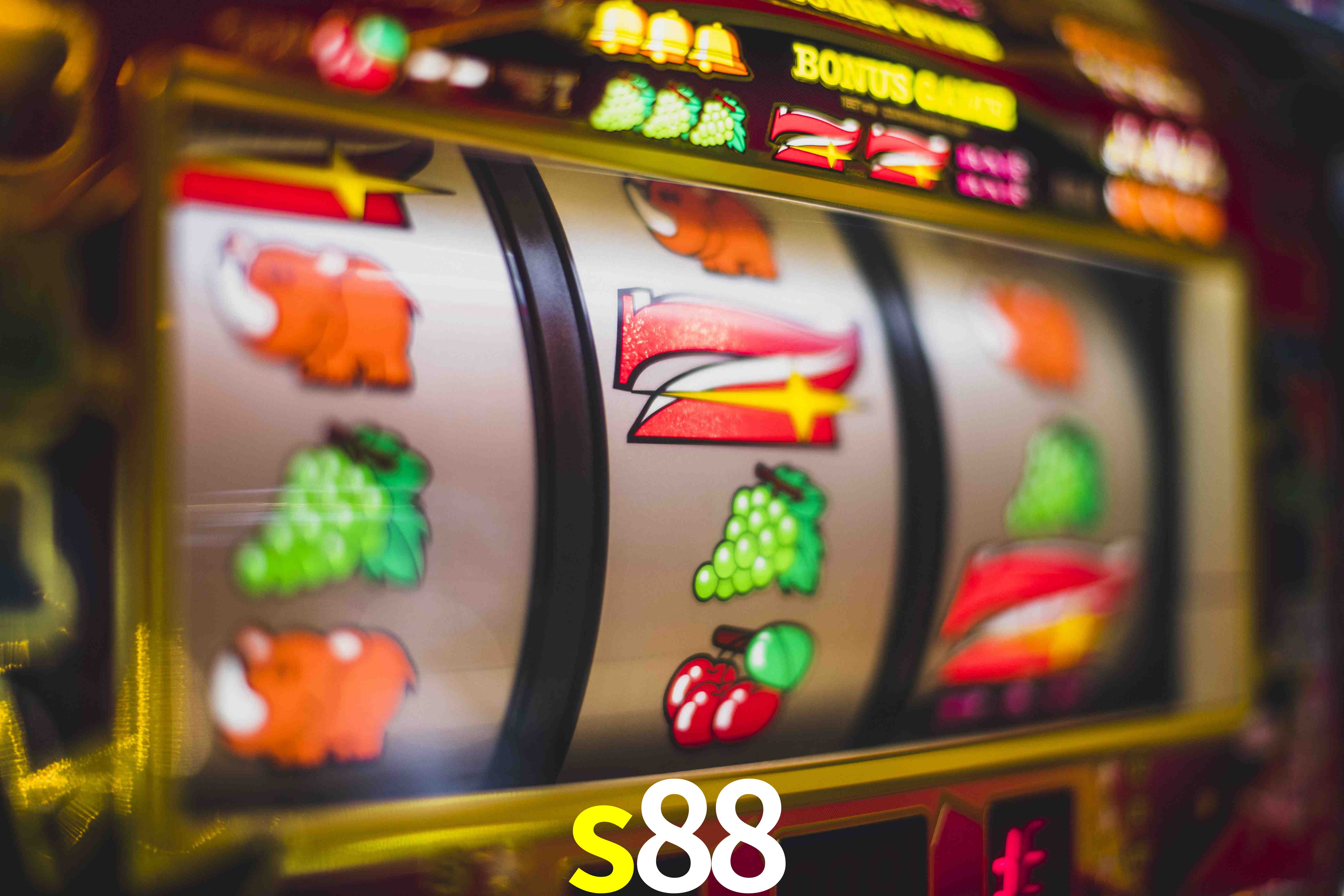 Experiência VIP s88